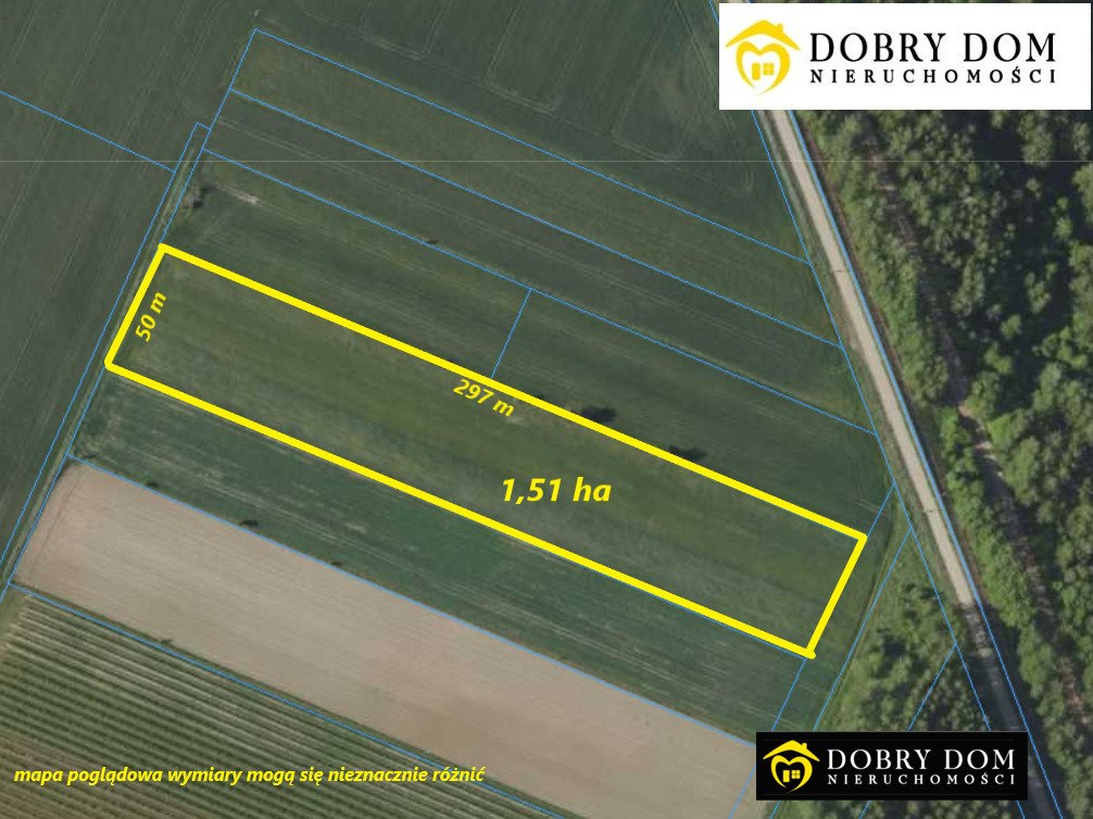 Działka 15 100 m² z dostępem do drogi utwardzonej Krynki  15 100m2 Foto 1