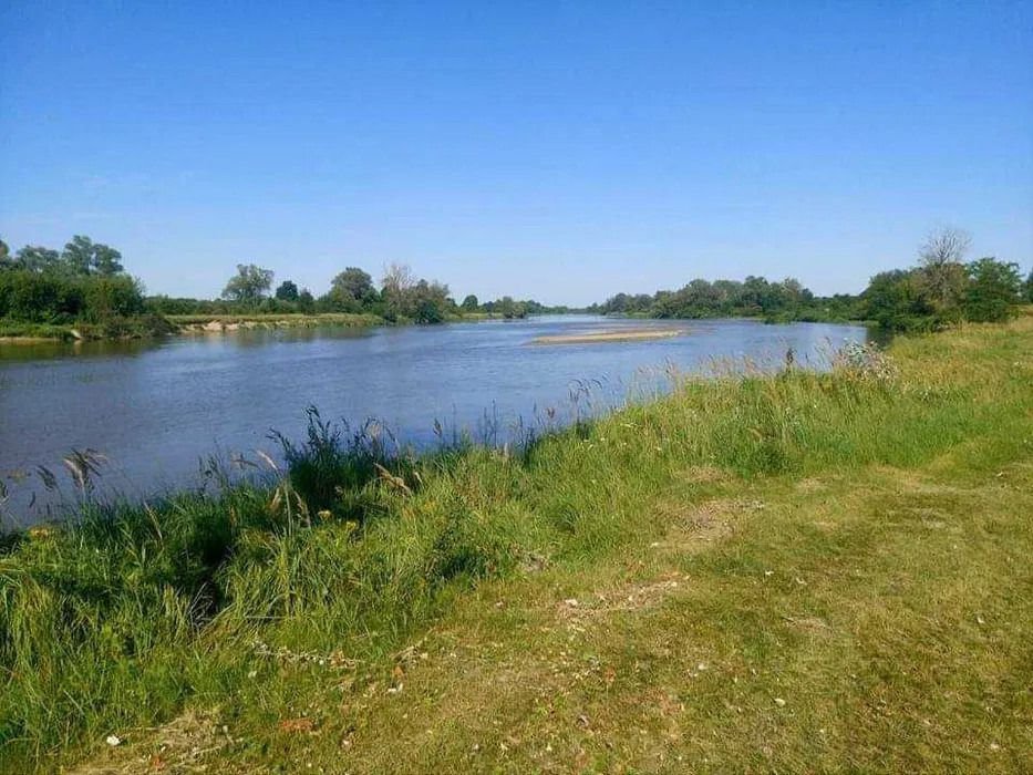 Działka siedliskowa na sprzedaż Rażny  24 000m2 Foto 1