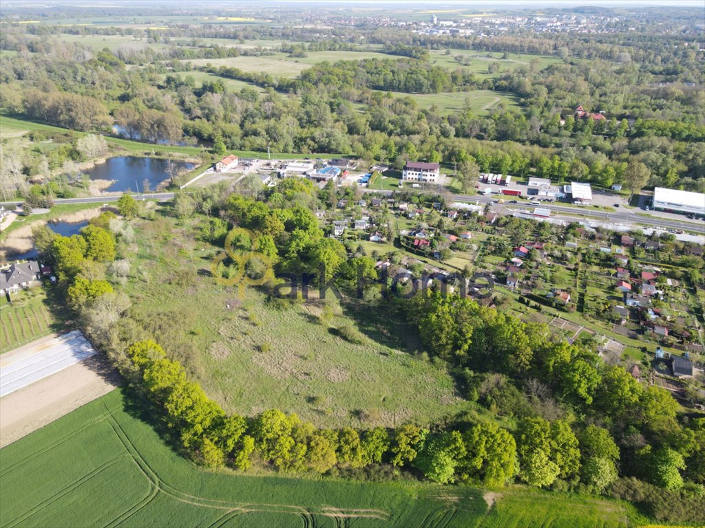 Działka inwestycyjna na sprzedaż Serby  18 900m2 Foto 3