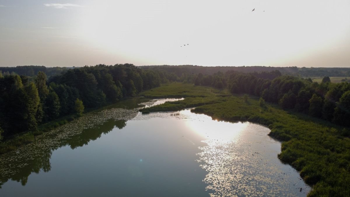 Działka inwestycyjna na sprzedaż Grądy Szlacheckie, Julianka  80 600m2 Foto 10