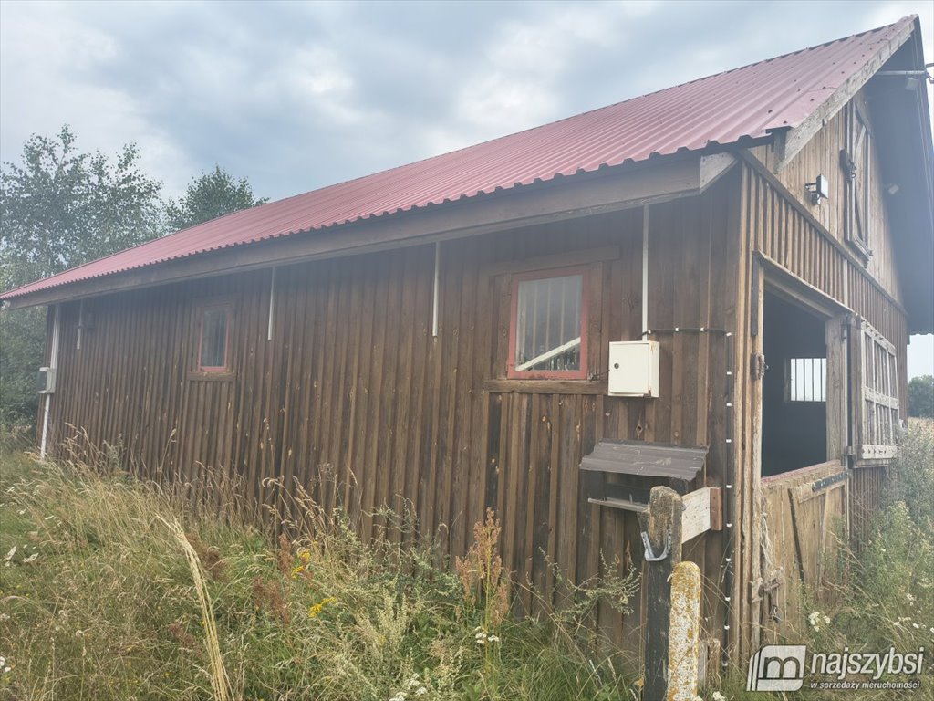Zapraszam do wynajmu obiektu dla koni 7600 m² z boksami i padokiem Stargard, Grzędzice  100m2 Foto 1