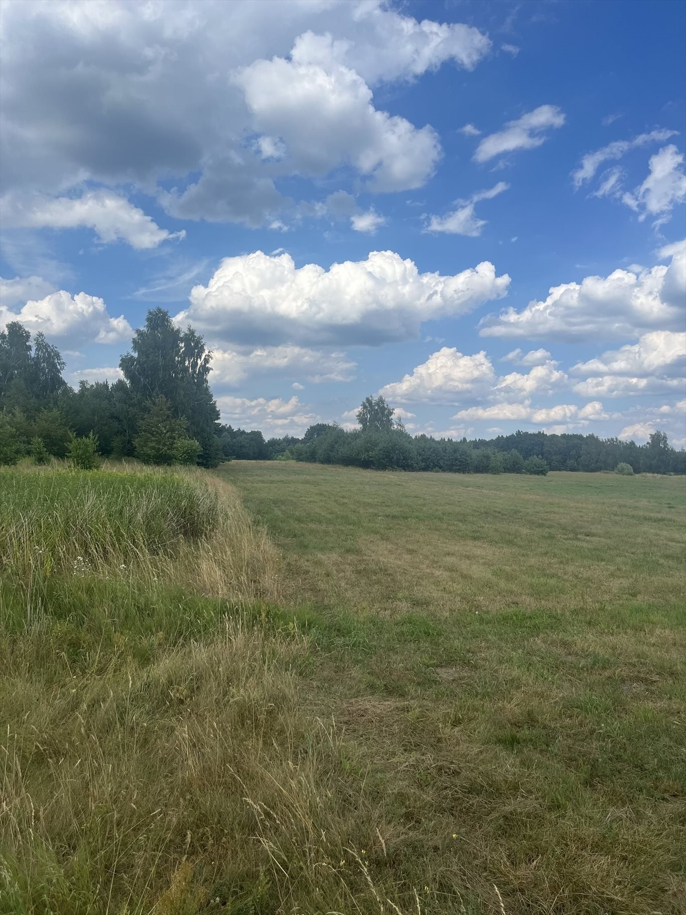 Działka rolna na sprzedaż Stare Babice, Zalesie  3 835m2 Foto 7