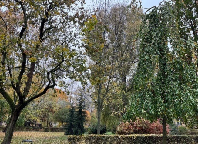 Mieszkanie czteropokojowe  na sprzedaż Warszawa, Wola, Niska  54m2 Foto 9