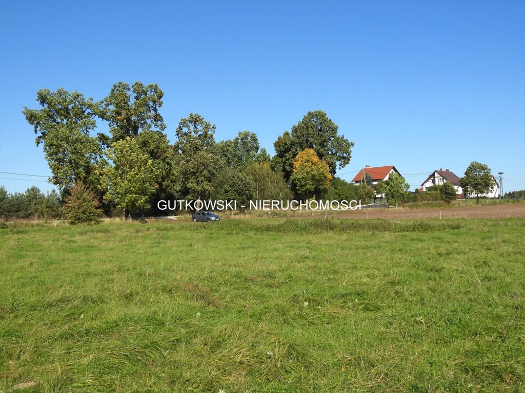 Na sprzedaż działka 4 500 m² w Starym Dzierzgoniu Stary Dzierzgoń  4 500m2 Foto 1