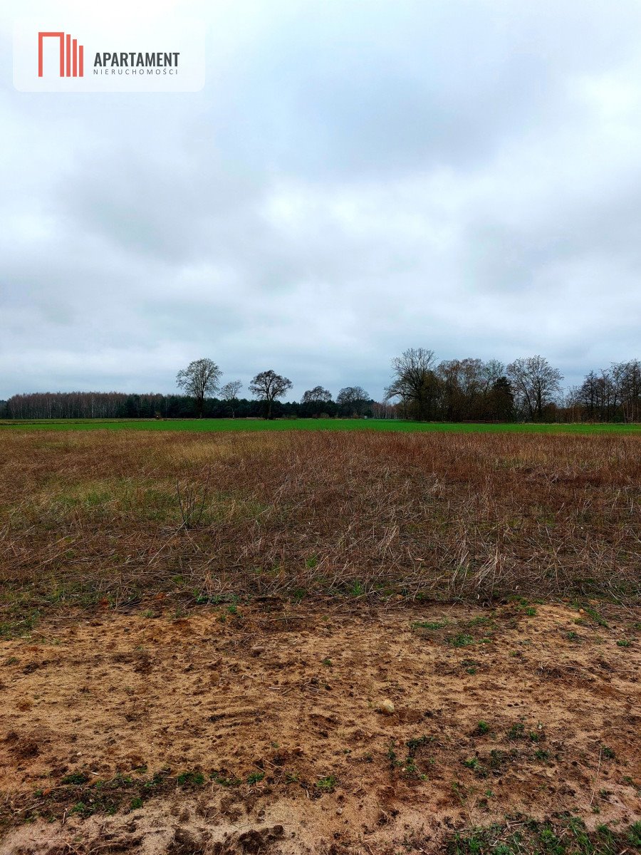 Działka budowlana na sprzedaż Żeleźnica  1 264m2 Foto 3