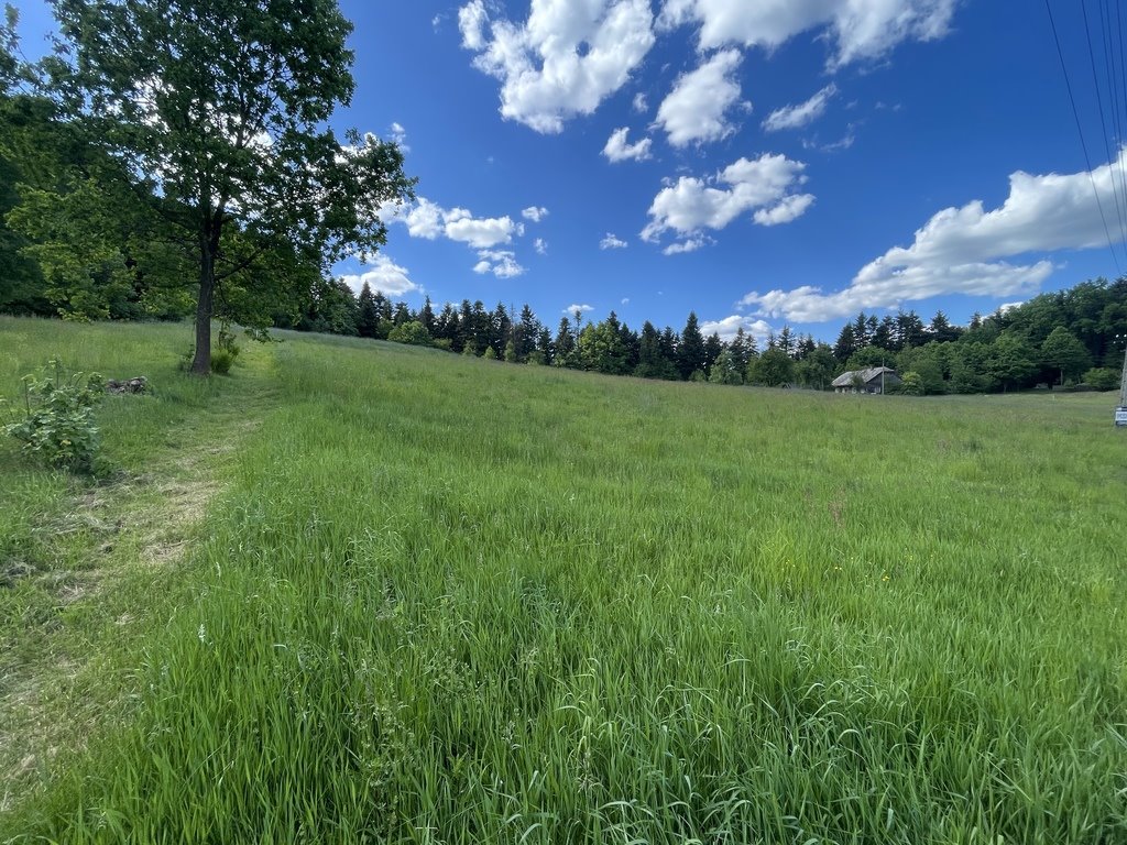 Działka budowlana na sprzedaż Korczyna, Dolińska  16 060m2 Foto 5