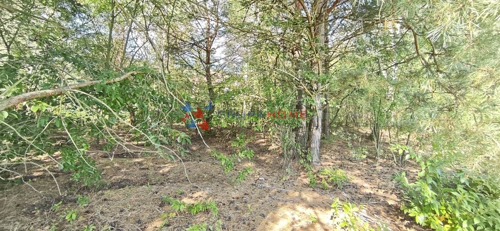 Działka 1500 m² w Łosiu (media przy działce) z planem MN Łoś  1 500m2 Foto 1