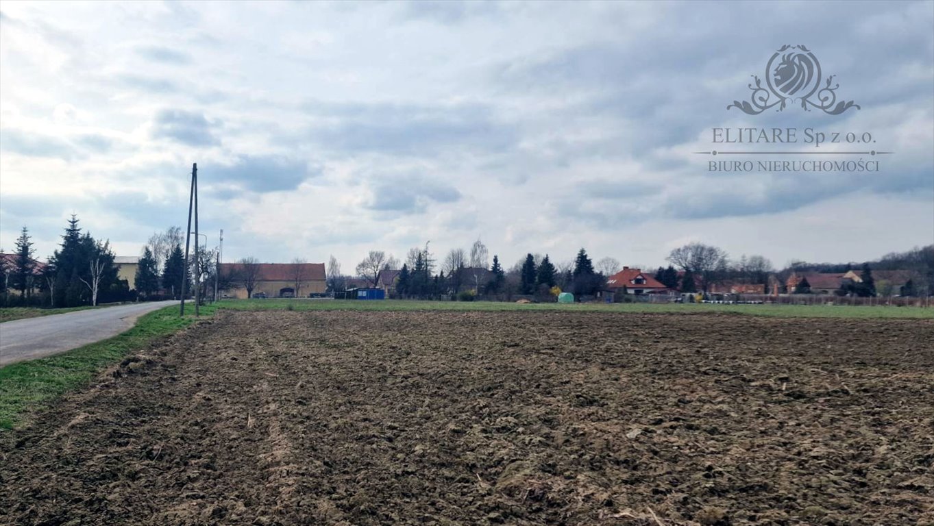 Działka budowlana na sprzedaż Sokolniki, Sokolniki  3 000m2 Foto 5