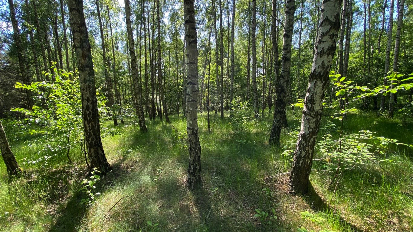 Działka rekreacyjna na sprzedaż Grotowice  33 300m2 Foto 14