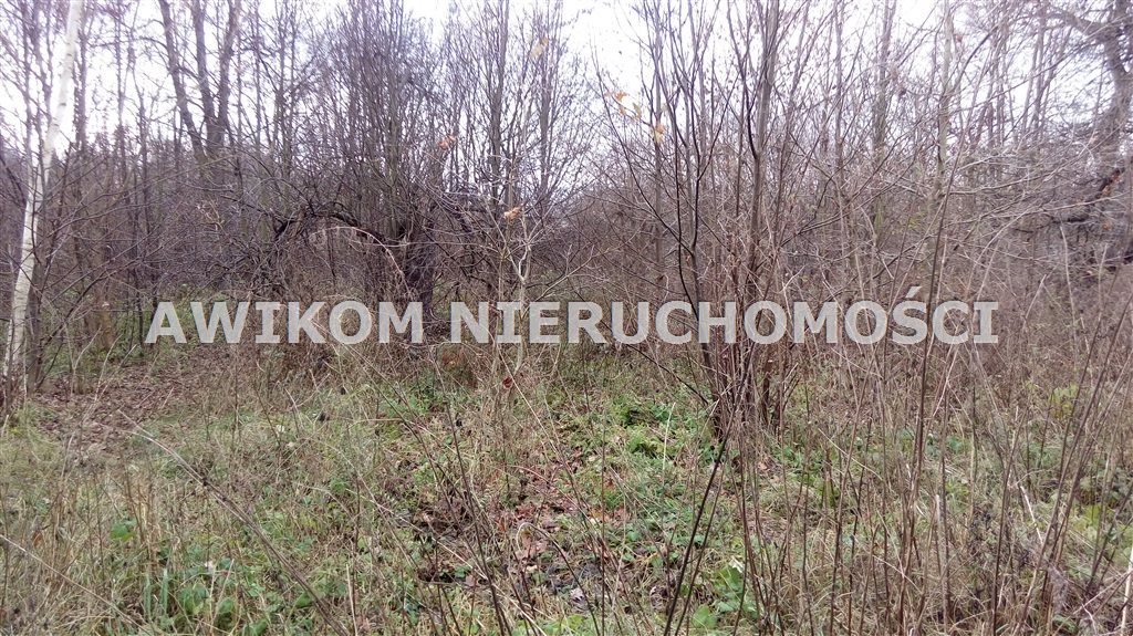 Działki siedliskowe 3000 m² z mediami, las, blisko A2 Sokule  3 000m2 Foto 1
