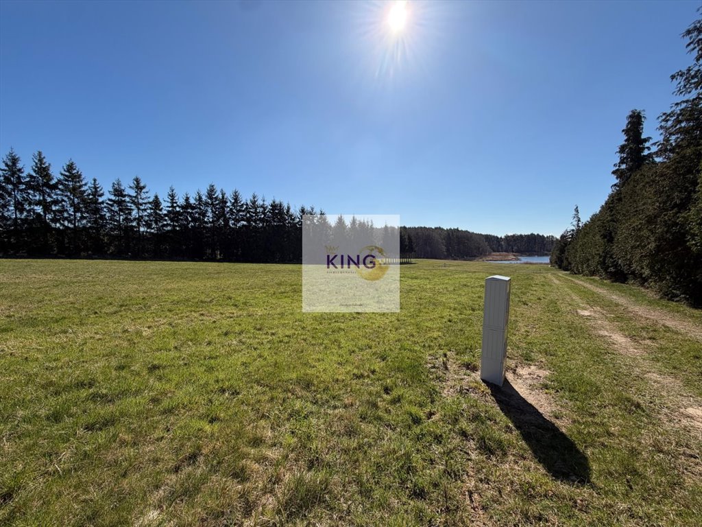 Do sprzedania działka 4261 m² z warunkami zabudowy w Binowie Binowo  4 261m2 Foto 1