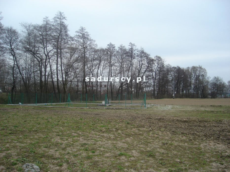 Działka inwestycyjna na sprzedaż Morawica  10 000m2 Foto 2