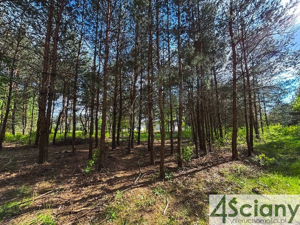 Działka budowlana na sprzedaż Zalesie  1 241m2 Foto 1