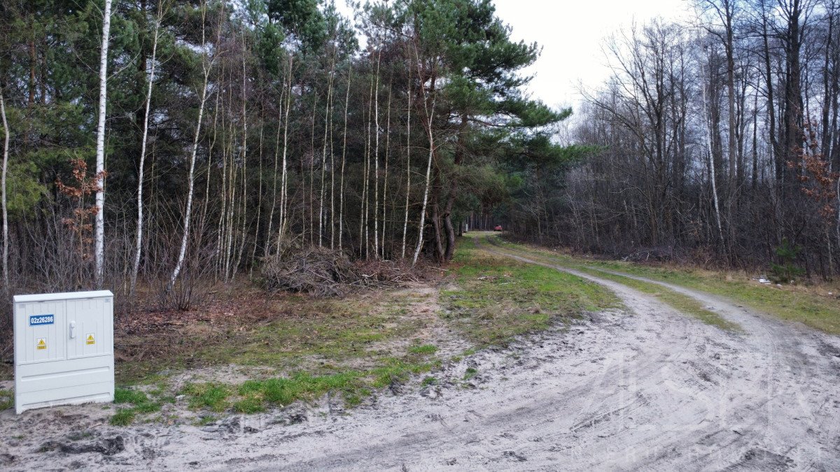 Działka budowlana na sprzedaż Ławki, Wrzosowa  1 000m2 Foto 6