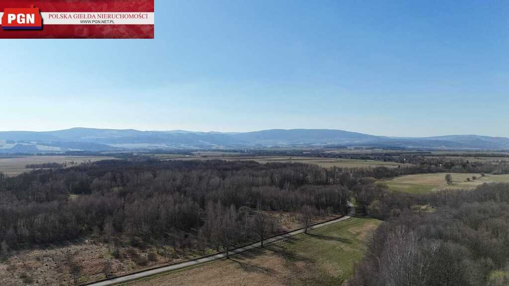 Działka budowlana na sprzedaż Nowa Wieś  1 000m2 Foto 1