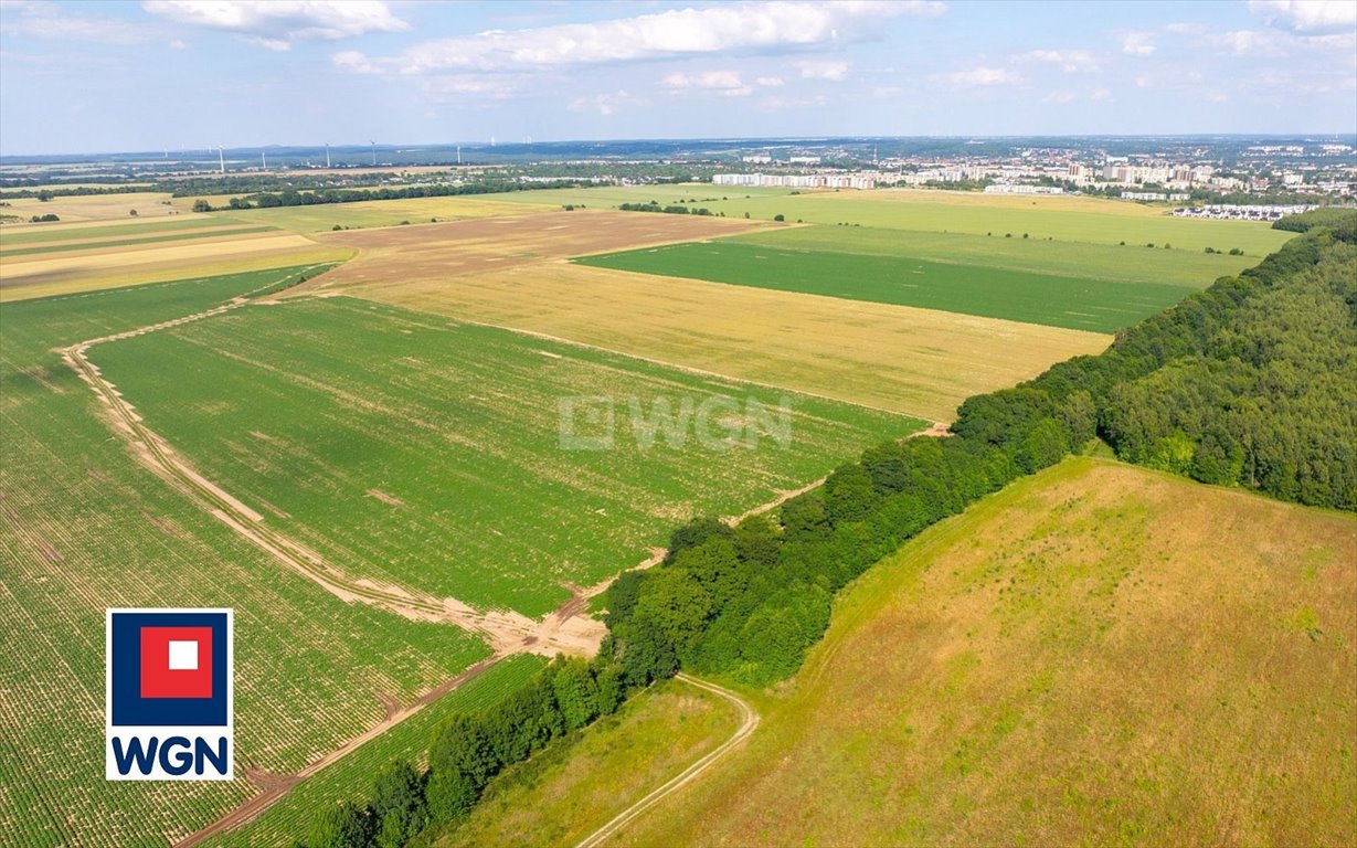 Działka budowlana na sprzedaż Słupsk, Szpilewskiego  3 031m2 Foto 9