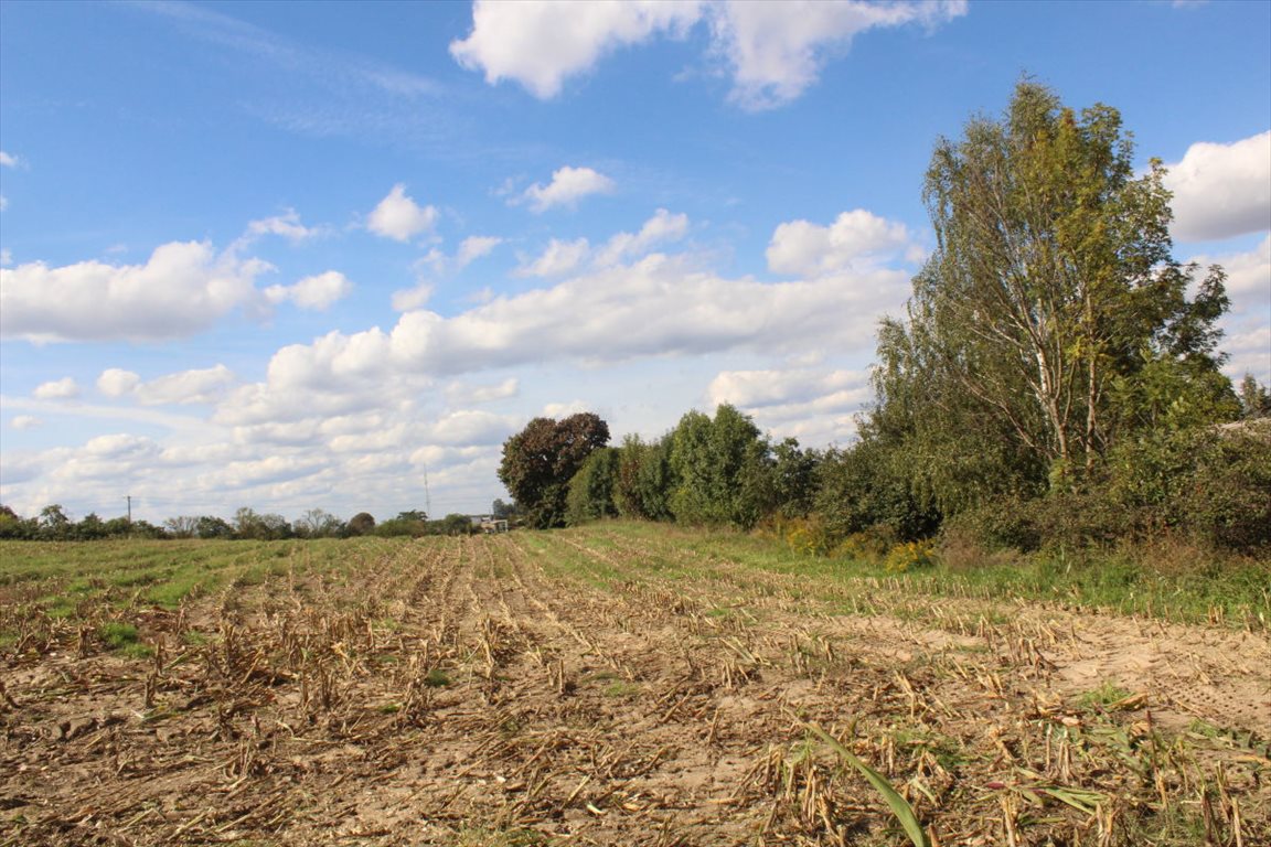 Działka budowlana na sprzedaż Sława  1 000m2 Foto 13