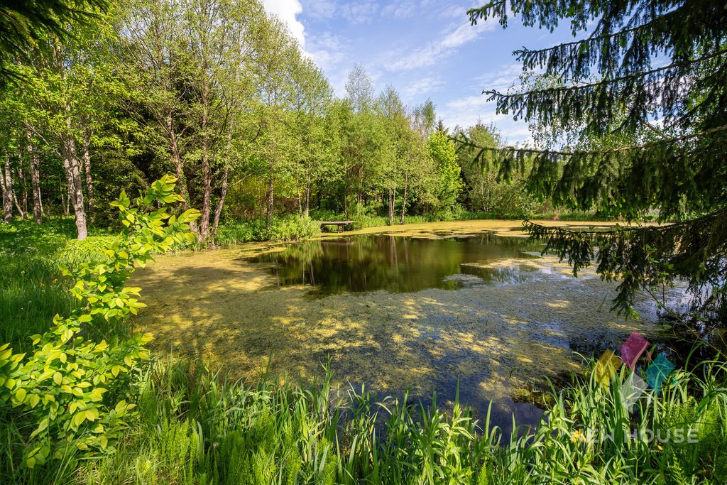 Działka siedliskowa na sprzedaż Wajsnory  190 400m2 Foto 7