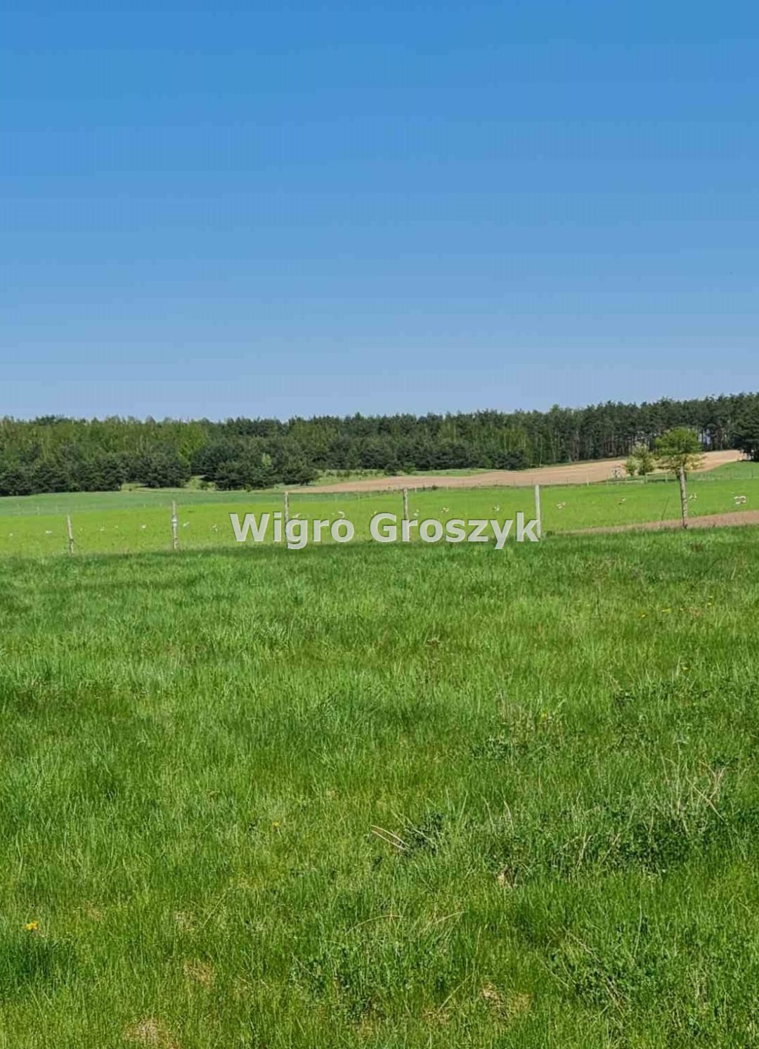 Działka rekreacyjna na sprzedaż Kwik, Kwik  10 409m2 Foto 5