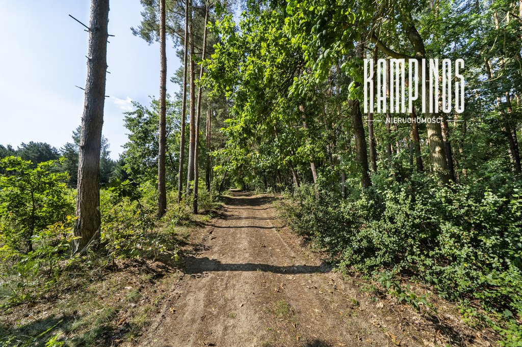 Na sprzedaż działka 2000 m² w Hornówku - blisko natury i Warszawy Hornówek  2 000m2 Foto 1