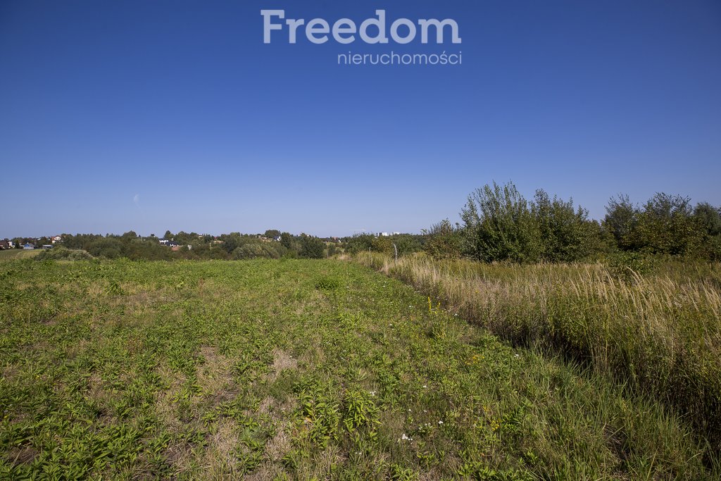 Działka budowlana na sprzedaż Kielanówka  5 500m2 Foto 7