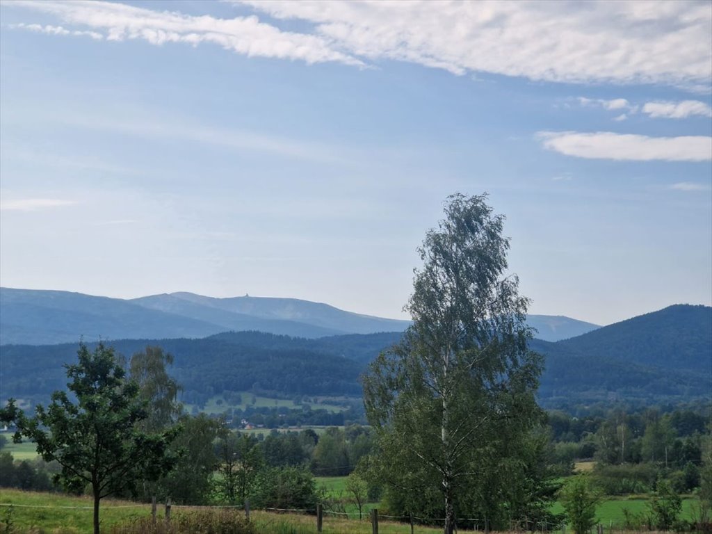 Działka budowlana na sprzedaż Jelenia Góra, Walerego Wróblewskiego  3 445m2 Foto 3