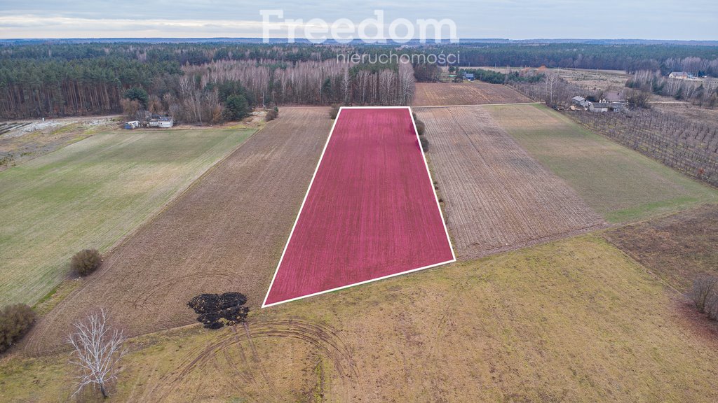 Działka inna na sprzedaż Chudolipie  10 500m2 Foto 1