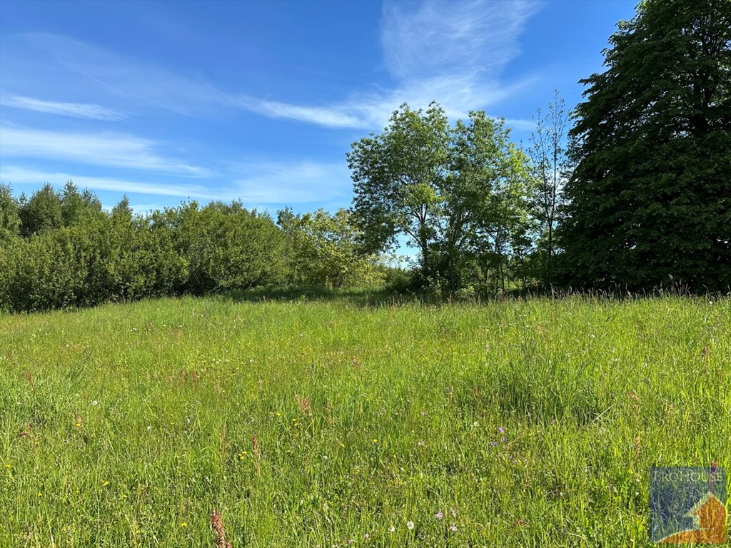 Działka budowlana na sprzedaż Skrzydlna  7 400m2 Foto 13