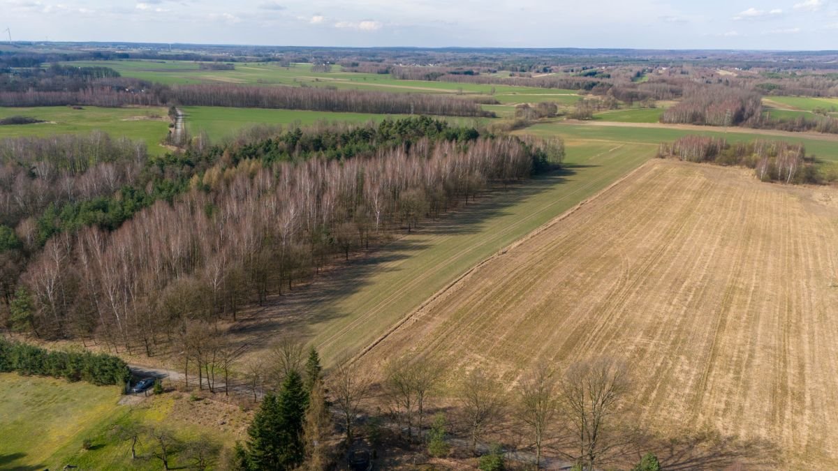 Działka rekreacyjna na sprzedaż Woźniki, Czarny Las, Czarny Las  14 911m2 Foto 4