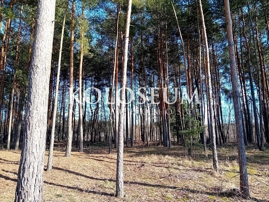 Działka budowlana na sprzedaż Konstancin-Jeziorna, Długa  2 581m2 Foto 2