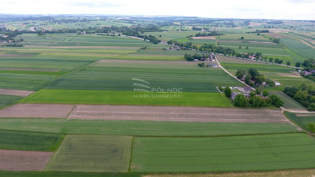 Działka budowlana na sprzedaż Wężerów  15 002m2 Foto 4