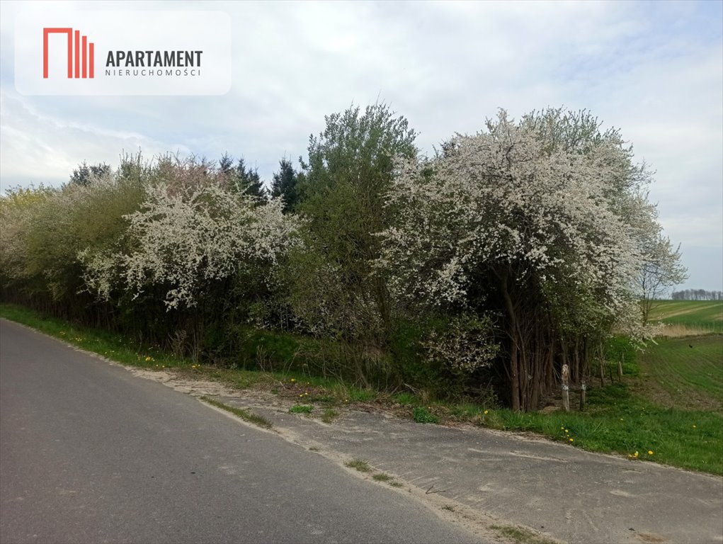 Działka siedliskowa na sprzedaż Jakubowo Kisielickie  4 900m2 Foto 6