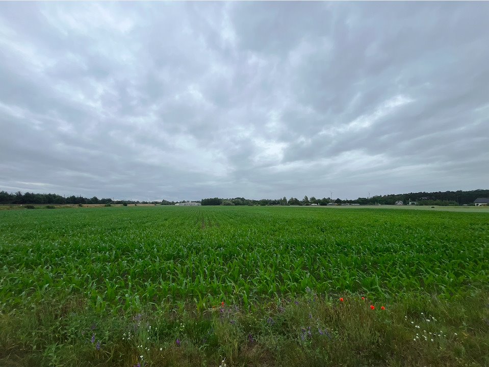 Działka przemysłowo-handlowa na sprzedaż Tarkowo Dolne  32 000m2 Foto 5