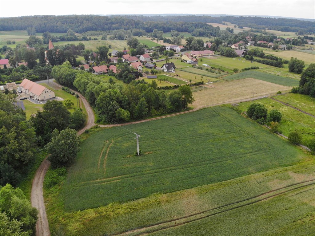 Działka rolna na sprzedaż Kotliska  19 600m2 Foto 7