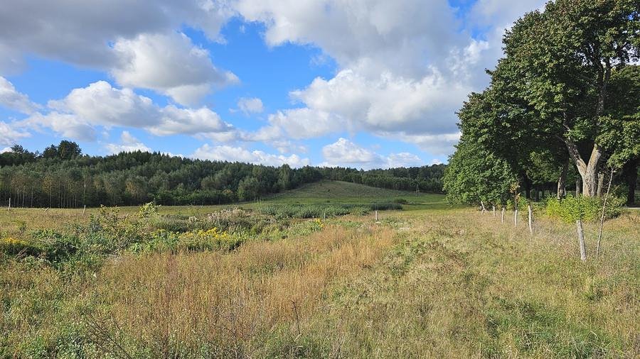 Działka budowlana na sprzedaż Łączno  1 199m2 Foto 4