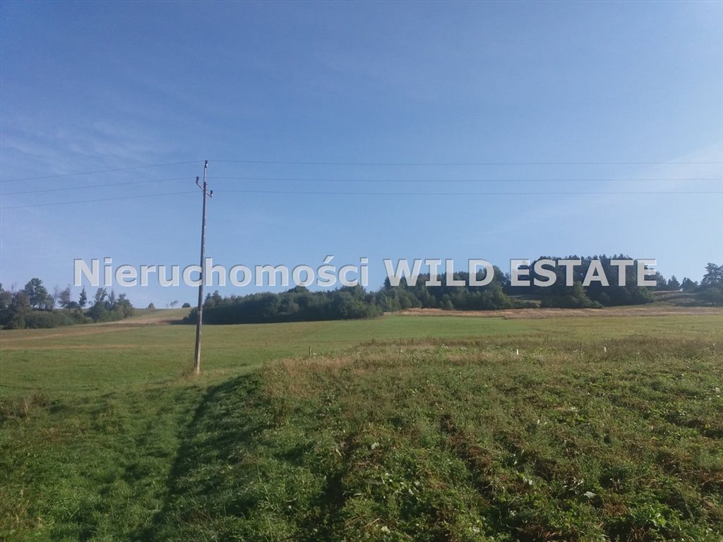Działka rolna na sprzedaż Olszanica, Paszowa  10 100m2 Foto 2