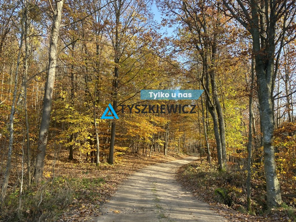 Działka z warunkami zabudowy w Trzebiatkowej, 1679 m² Trzebiatkowa  1 679m2 Foto 1