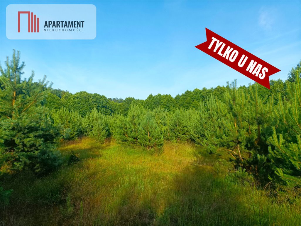 Działka 3221 m2 w Borach Tucholskich z warunkami pod dom Stara Rzeka  3 221m2 Foto 1