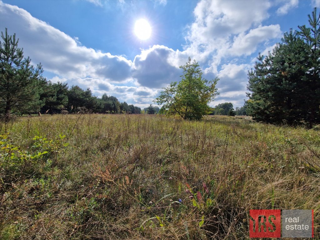 Działka rekreacyjna na sprzedaż Sikory, Brzozowa  7 321m2 Foto 1