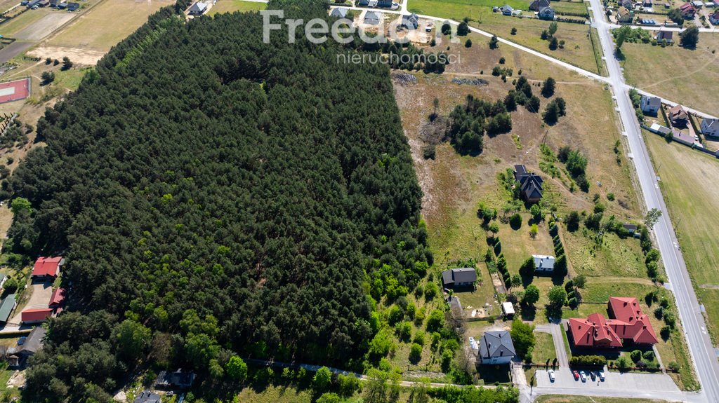 Działka budowlana na sprzedaż Krasocin  10 400m2 Foto 5