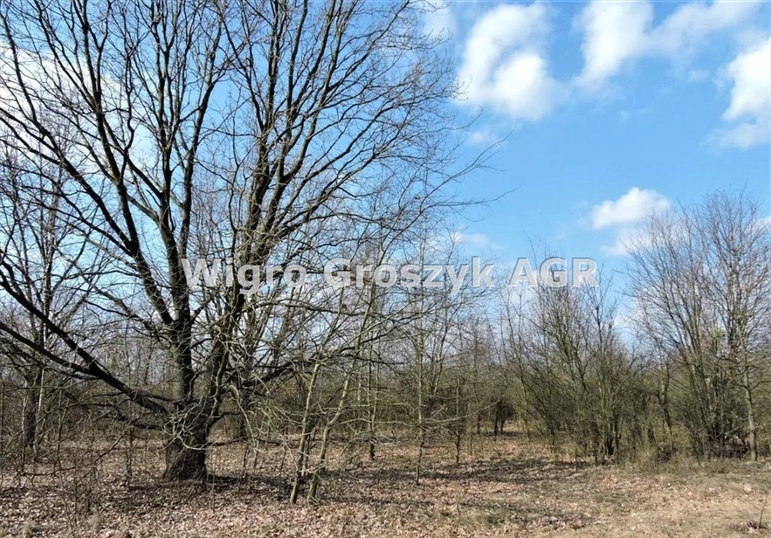 Działka 22 612 m² w Kampinoskim Parku Narodowym - zapraszam Kępiaste  22 612m2 Foto 1