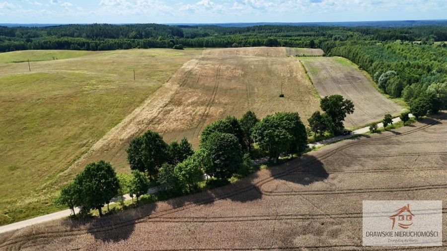 Działka rolna na sprzedaż Linowno, Linowno  61 000m2 Foto 2