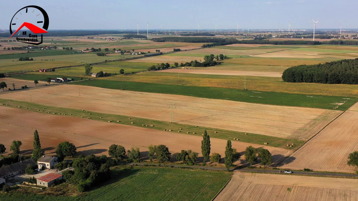 Działka gospodarstwo rolne na sprzedaż Twierdziń  3 000m2 Foto 4