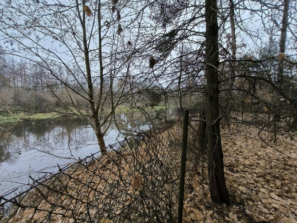 Działka rekreacyjna na sprzedaż Borkowo, Rzeczna  2 302m2 Foto 9