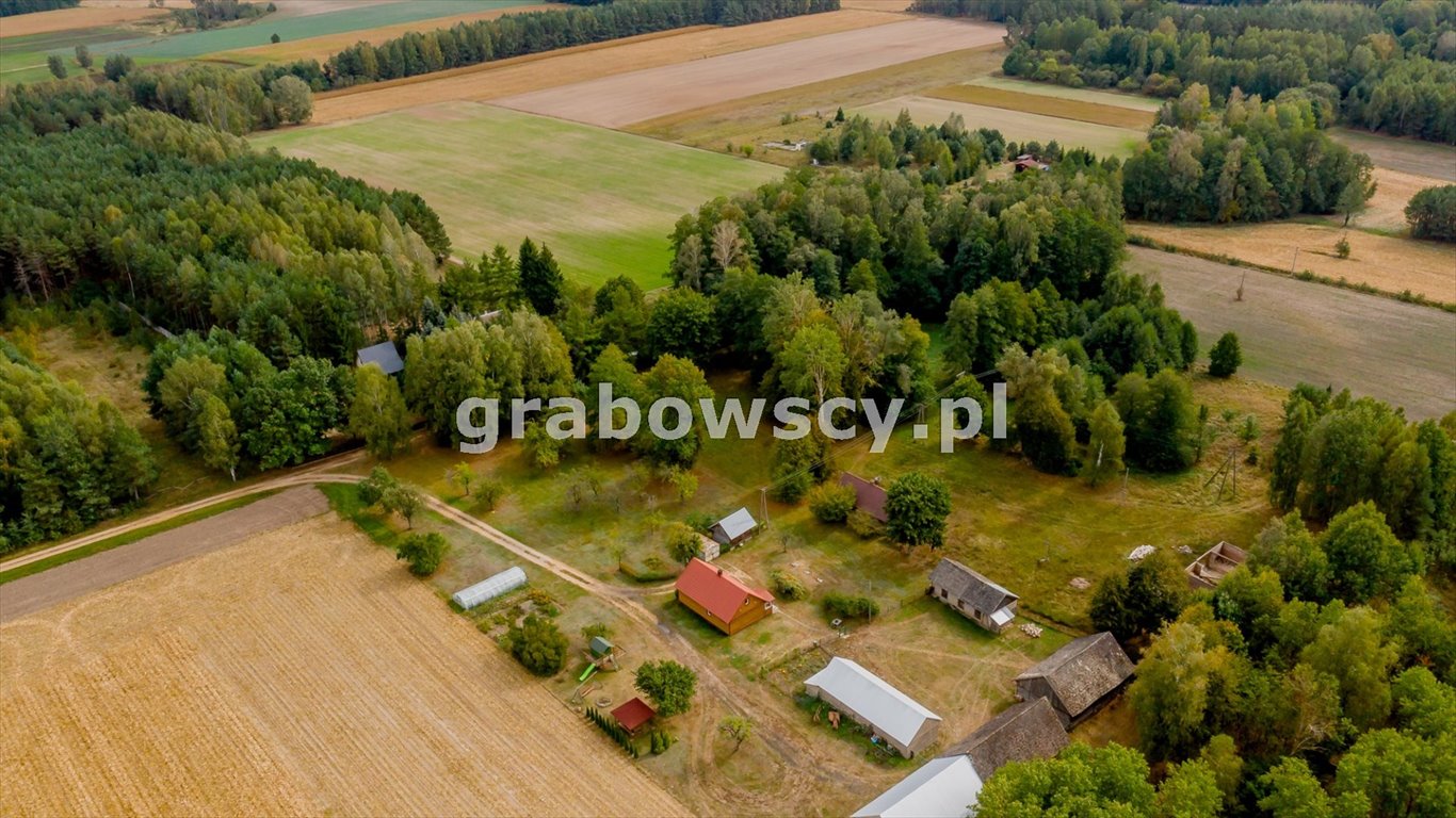 Działka inna na sprzedaż Czerewki  3 055m2 Foto 4