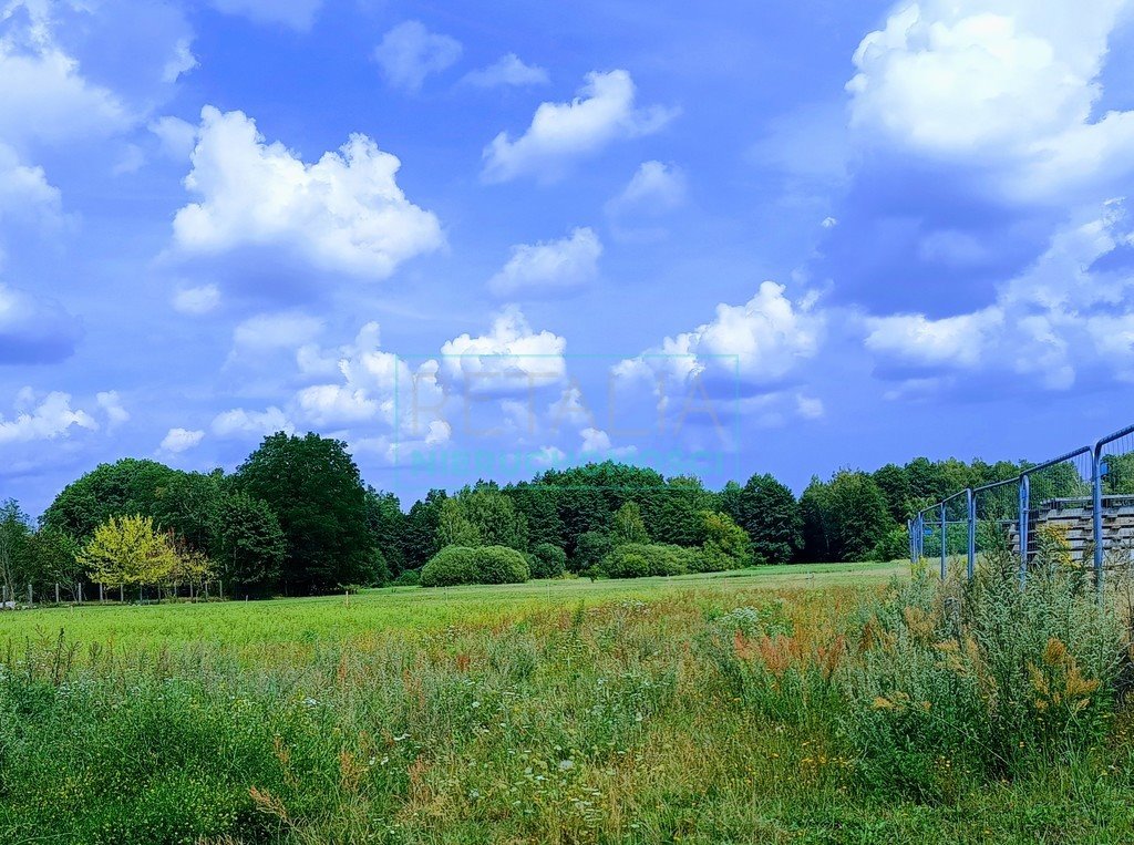 Działka budowlana na sprzedaż Ojrzanów  2 000m2 Foto 3