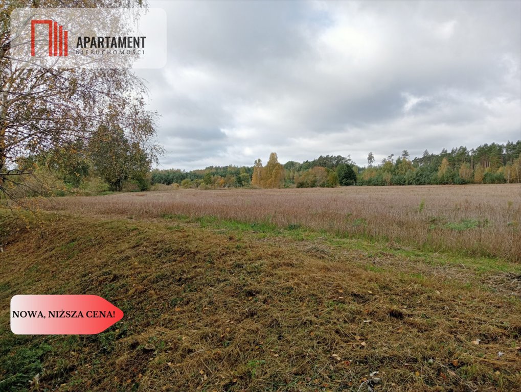 Działka budowlana na sprzedaż Branica  5 600m2 Foto 8