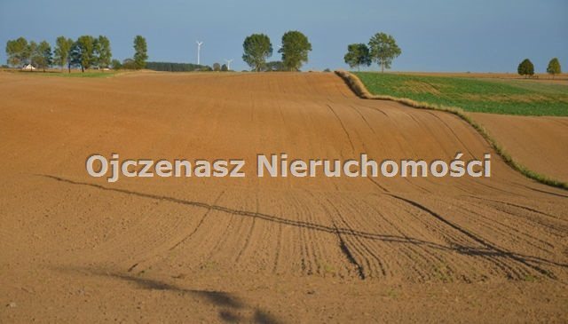 Działka 15 000 m² z prądem, prostokąt, atrakcyjna lokalizacja Trzeciewiec  15 000m2 Foto 1