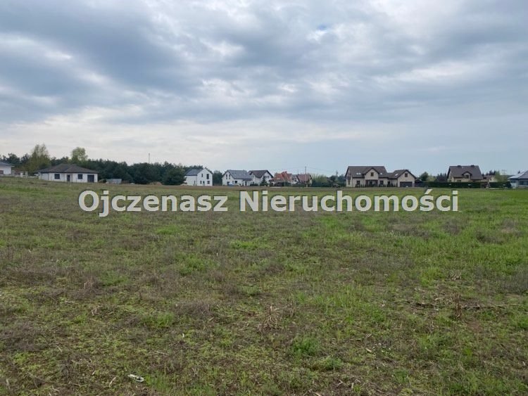 Zdjęcie 6