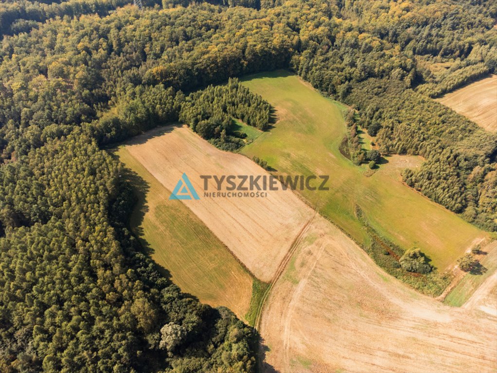 Działka rolna na sprzedaż Ełganowo, Macierzy Szkolnej  6 500m2 Foto 4